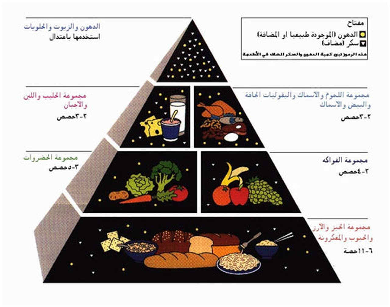 نظام دايت - افضل نظام دايت 5776