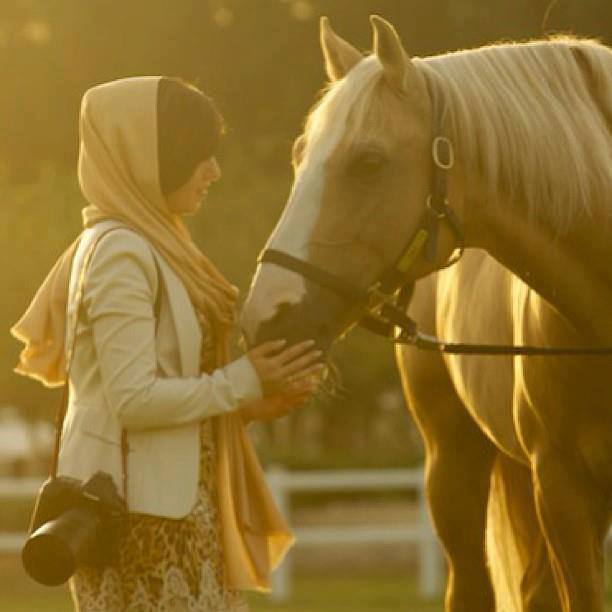 خيل اصيل - اجمل الخيل العربي الاصيل 1382 10