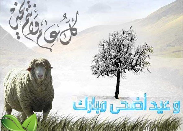 تهنئة عيد الاضحى - تهانى جميله للعيد الكبير 1518 2