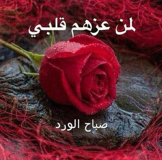 صورصباح الخير متحركة - اجدد صور الصباح المتحركة 5938 4