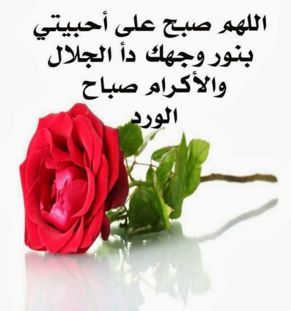 صور للصباح - اجدد صور للصباح جميله 5034 13