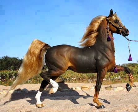 خيل اصيل - اجمل الخيل العربي الاصيل 1382 1