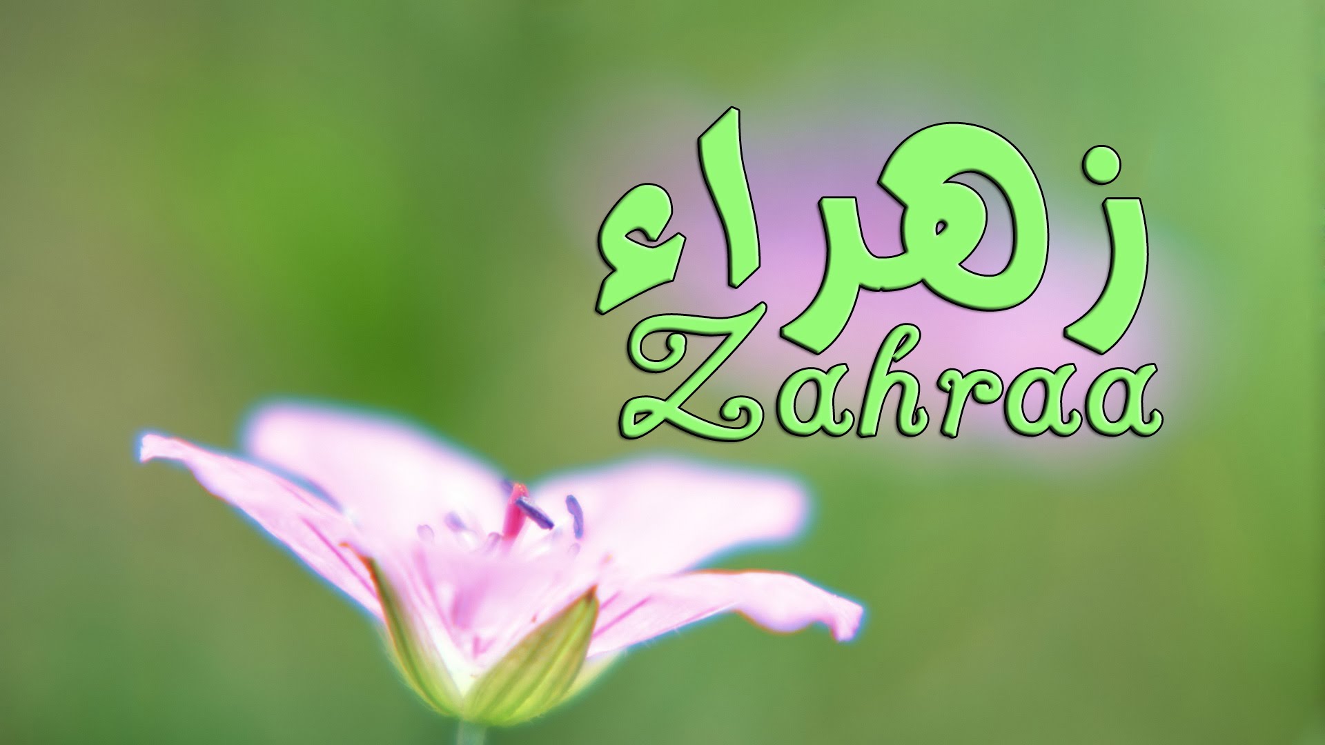 اسم زهراء - زهراء اسم متميز 5948 2