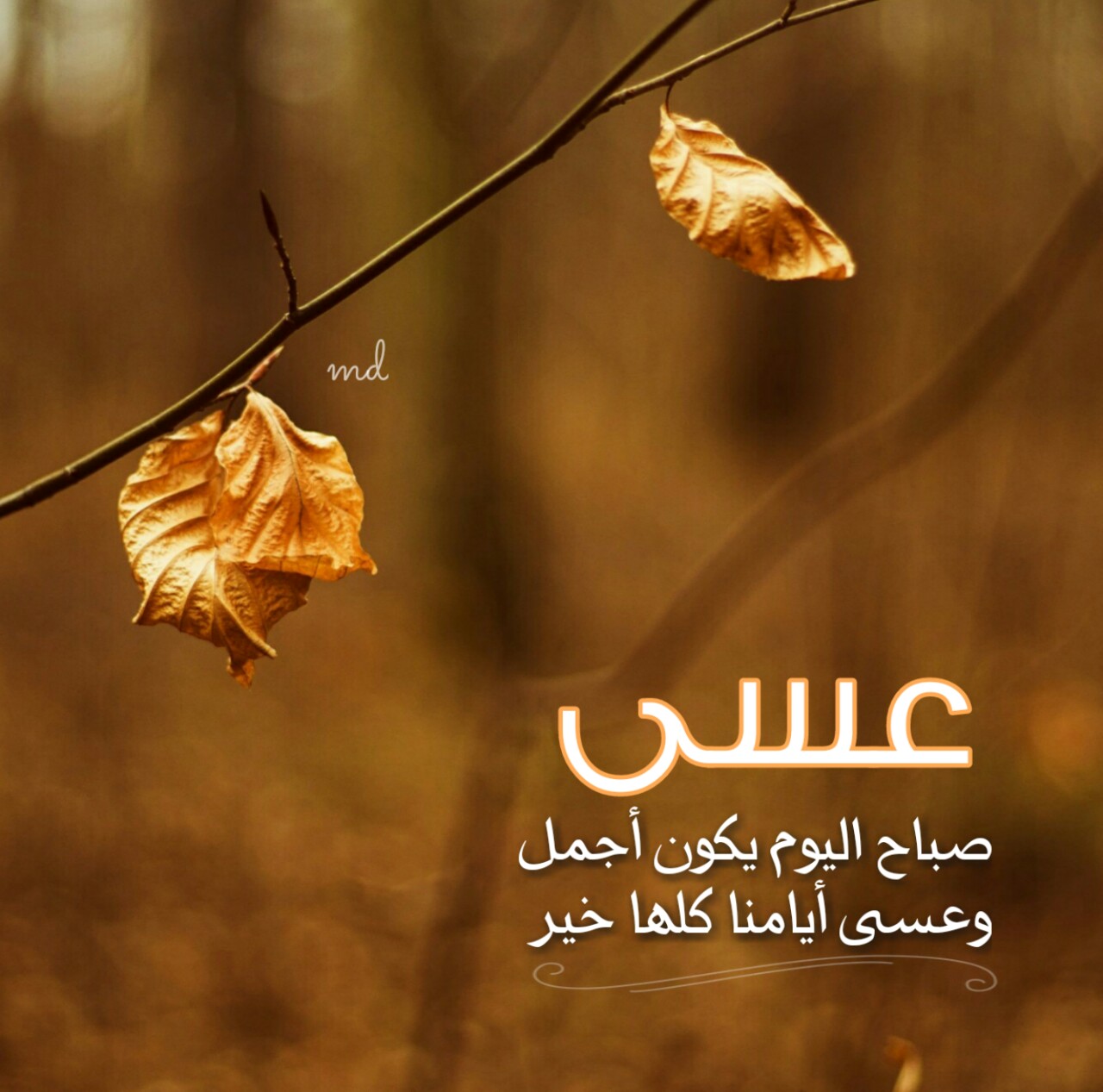 صور احلى صباح - اجمل رمزيات صباحيه 3491