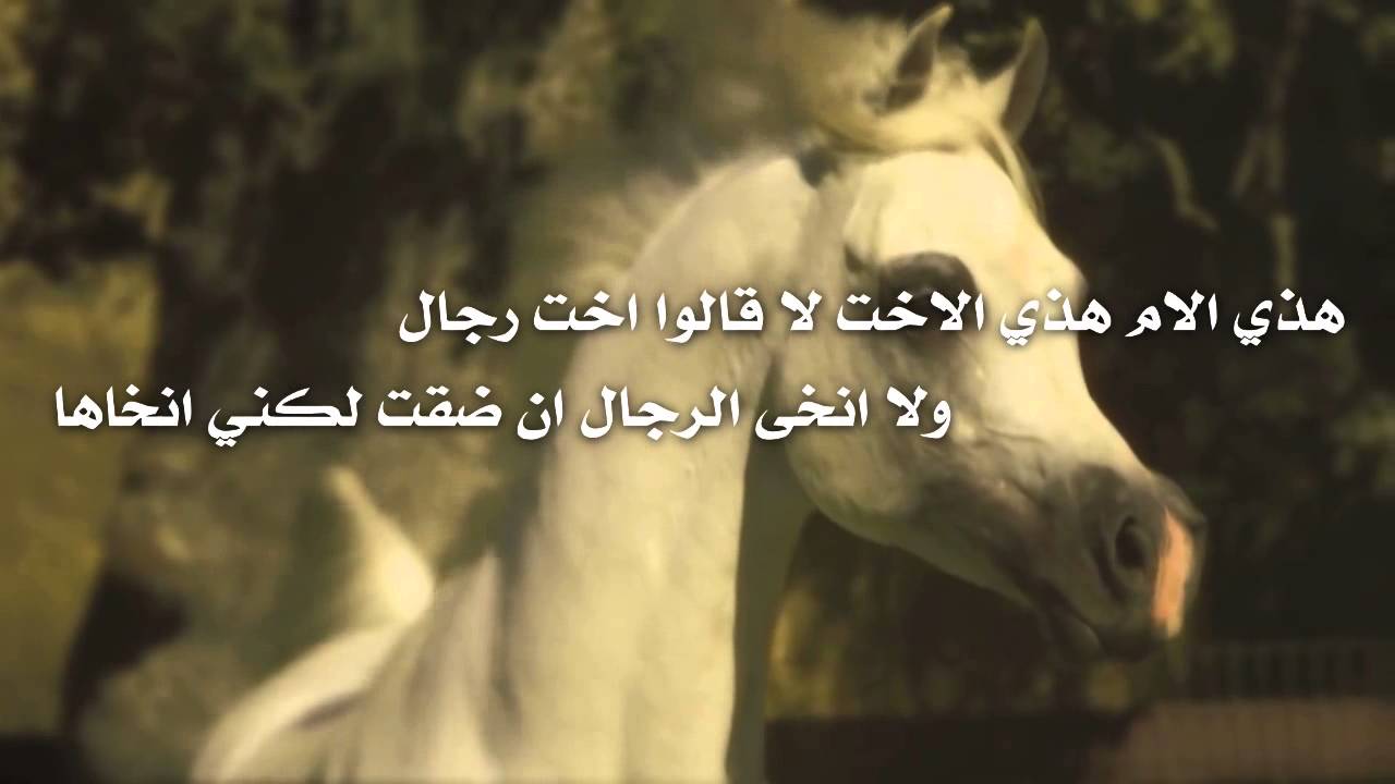 شعر مدح الرجال - اسباب مدح الرجال في الشعر العربي 1849 2