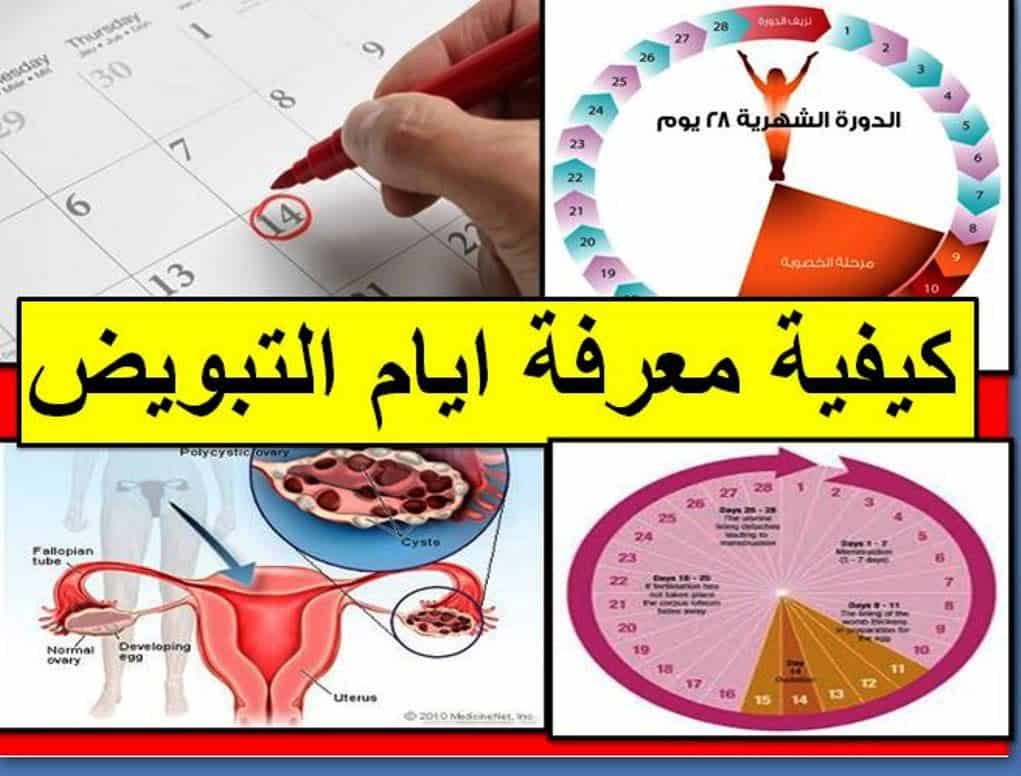 كم عدد ايام الدورة الشهرية 11084