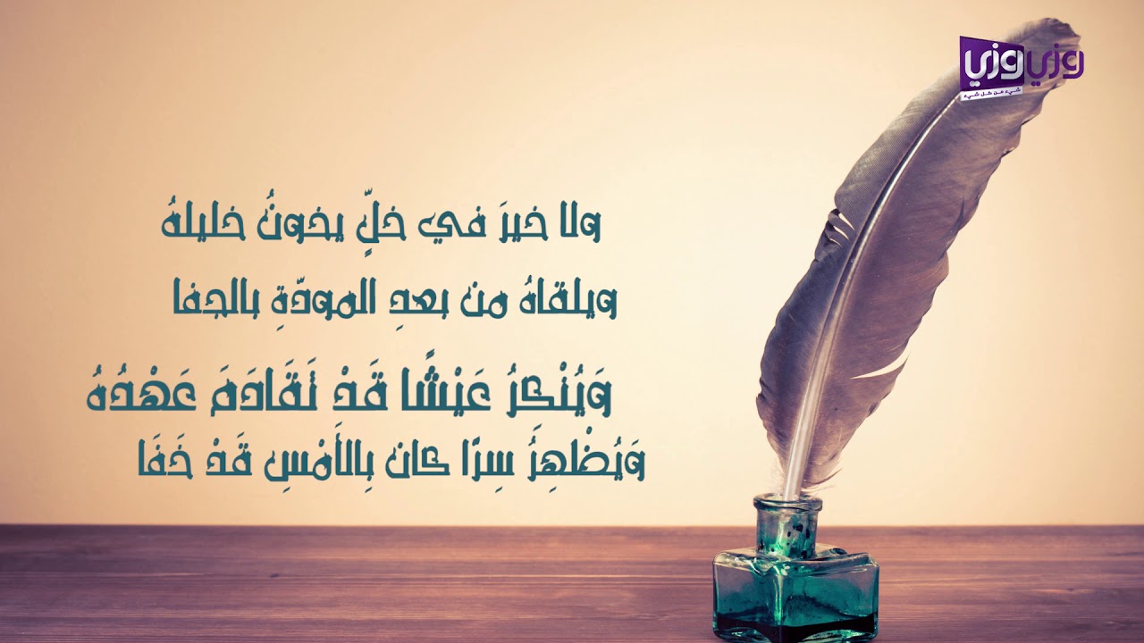 شعر ذم الصديق 11413 13