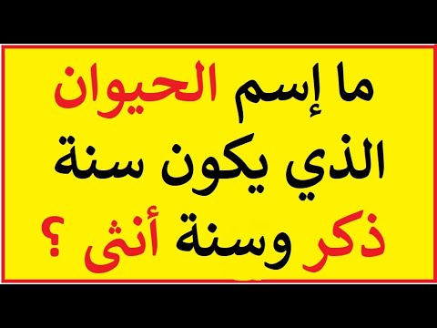 الغاز سهله ومضحكه , لغز صع و حله