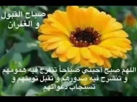 اجمل ماقيل عن الصباح - كلام عن الصباح 3126 1