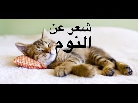 شعر عن النوم - اروع ما قيل في النوم من اشعار 0 55