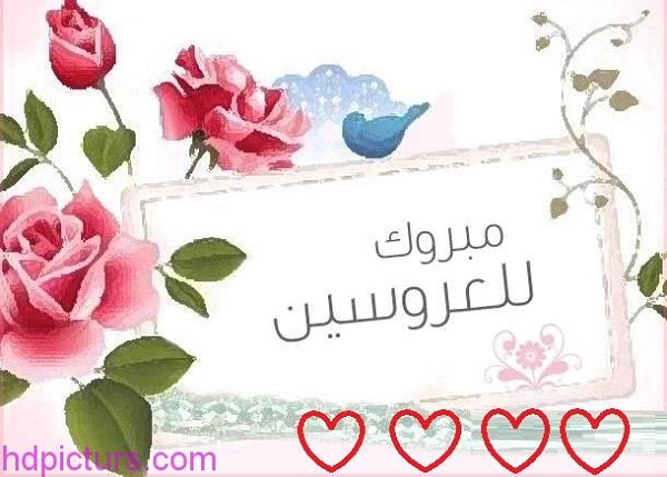 عبارات تهنئه للعروس قصيره - اجمل كلام مباركة للعراس 6285 4