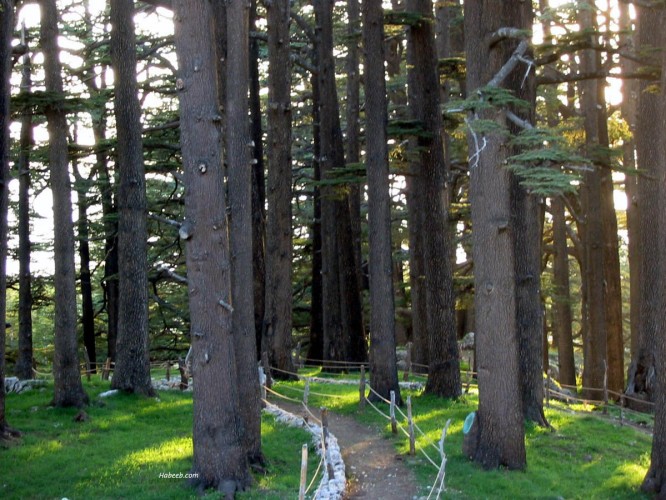 اماكن سياحية في لبنان - مناطق سياحية في لبنان 5457 3