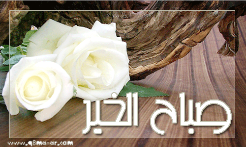 صور ورد صباح الخير - اجمل صباحيات من الاحباب 6274 3