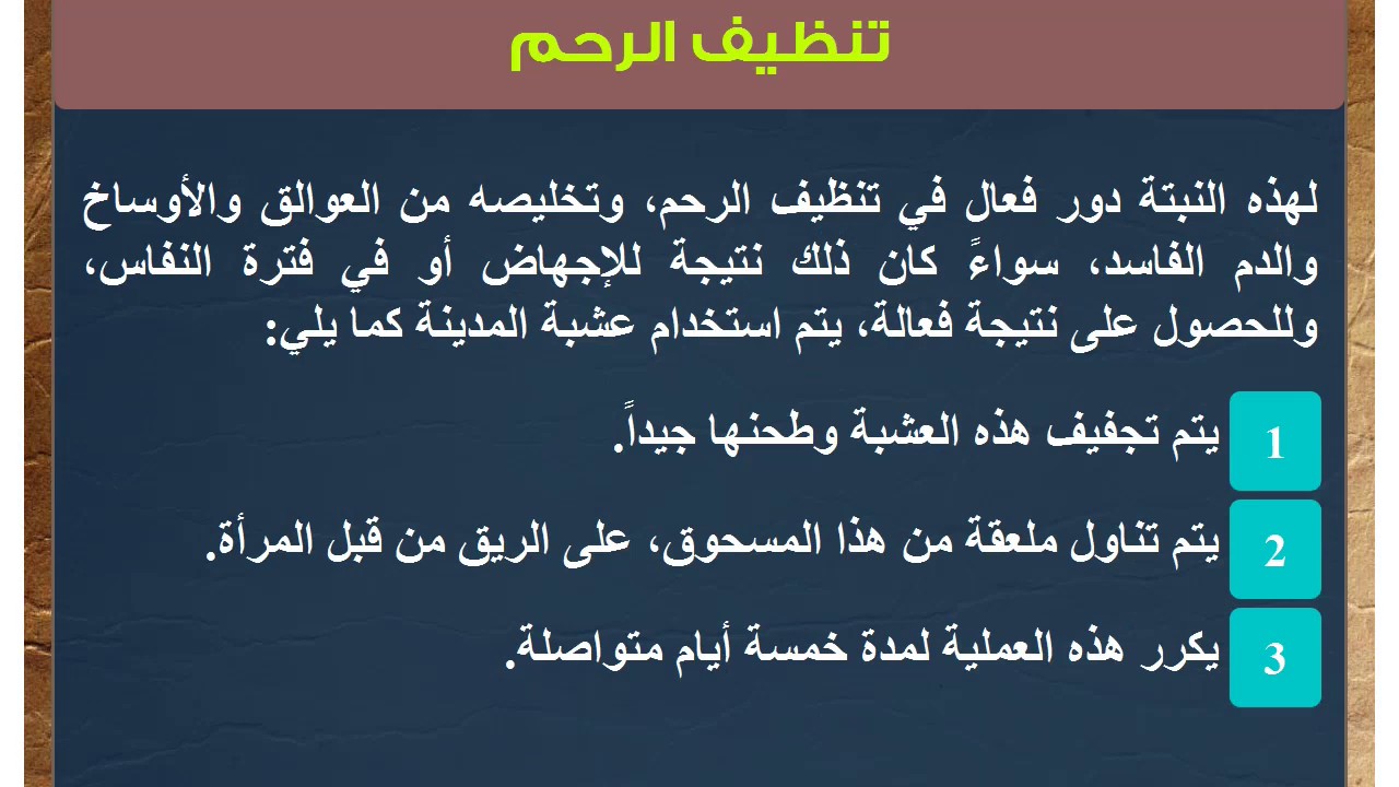 عشبة المدينة للاجهاض - بعض الاعشاب الى تؤدى الى نزول الجنين 4128 3