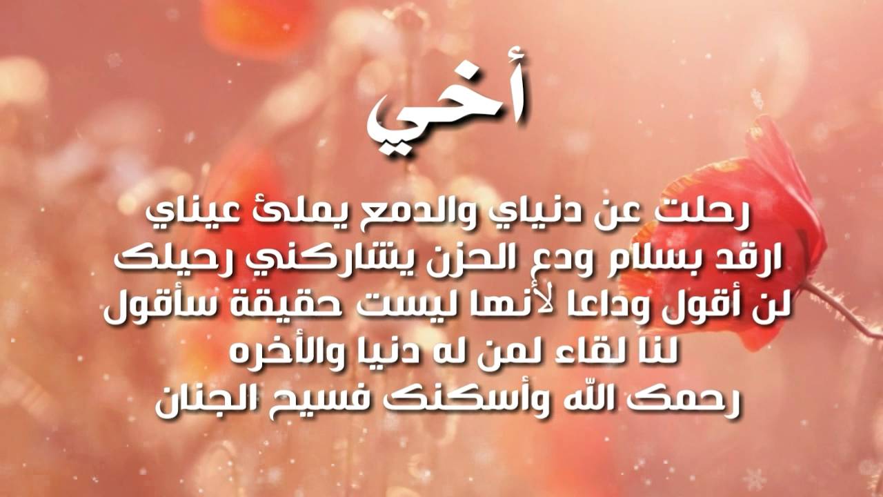 اشعار عن الصديق 5390 3