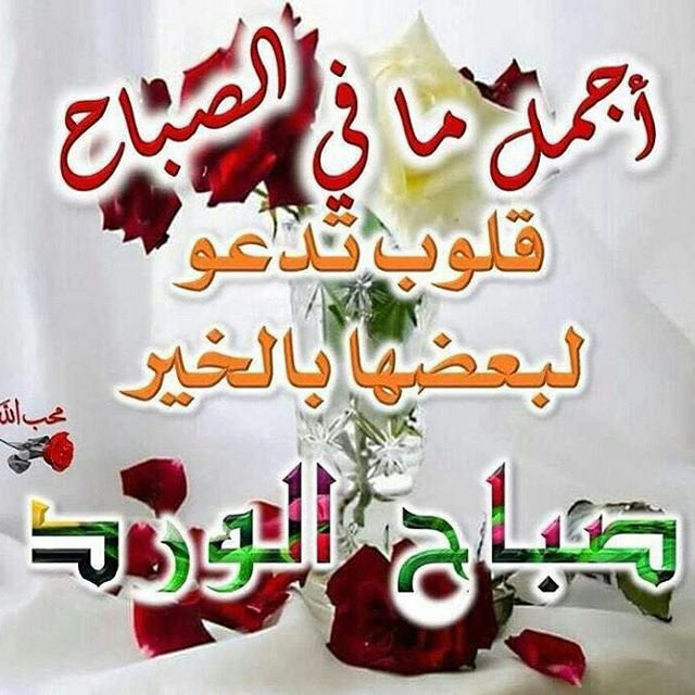 صور احلى صباح - اجمل رمزيات صباحيه 3491 10