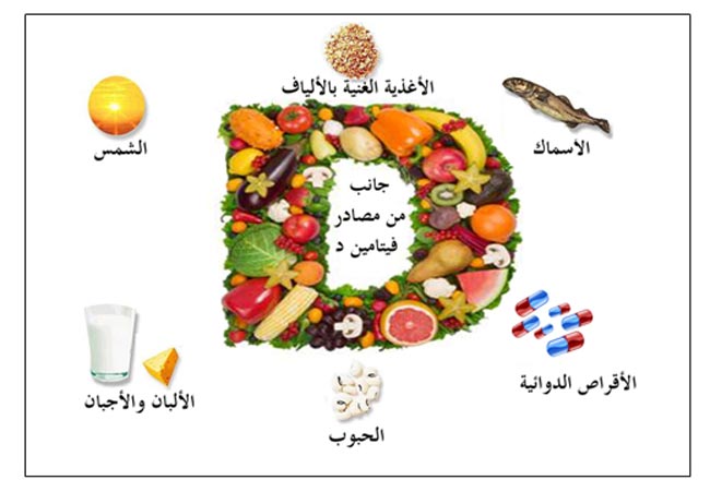 اين يوجد فيتامين د - تواجد فيتامين د 3114 2