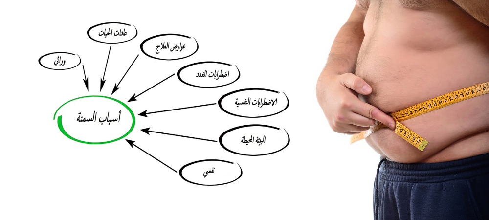 اسباب السمنة - معلومات ظهور السمنة 2051 3