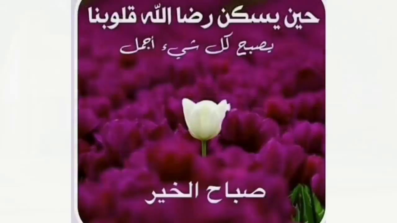 صور للصباح - اجدد صور للصباح جميله 5034