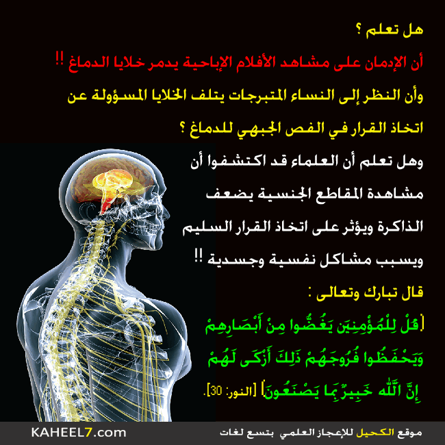 صور علمية - احدث الصور العلميه 3561