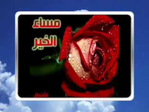 مساء الفل - مساء الورد 2318 7