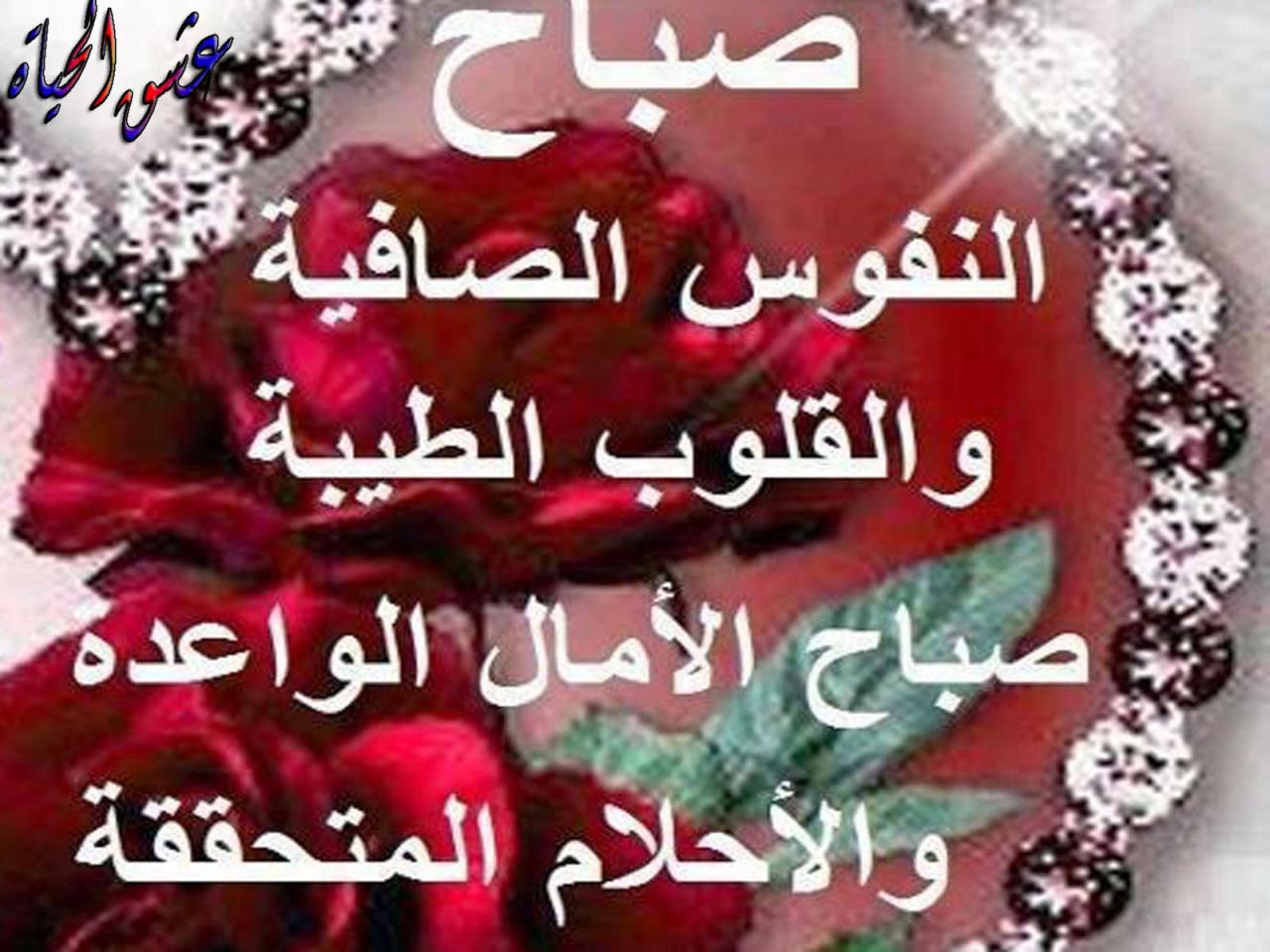 صور صباحية جميلة - ما اروع هذا الصباح المملوء بذكر الله 4920 16