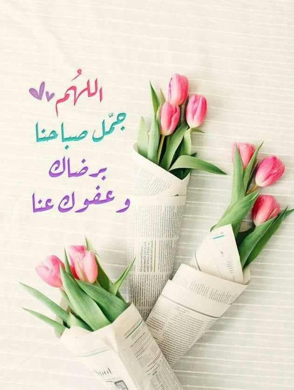 صور للصباح - اجدد صور للصباح جميله 5034 12