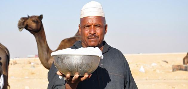 فوائد حليب الناقة , استخدام حليب الابل للسكري