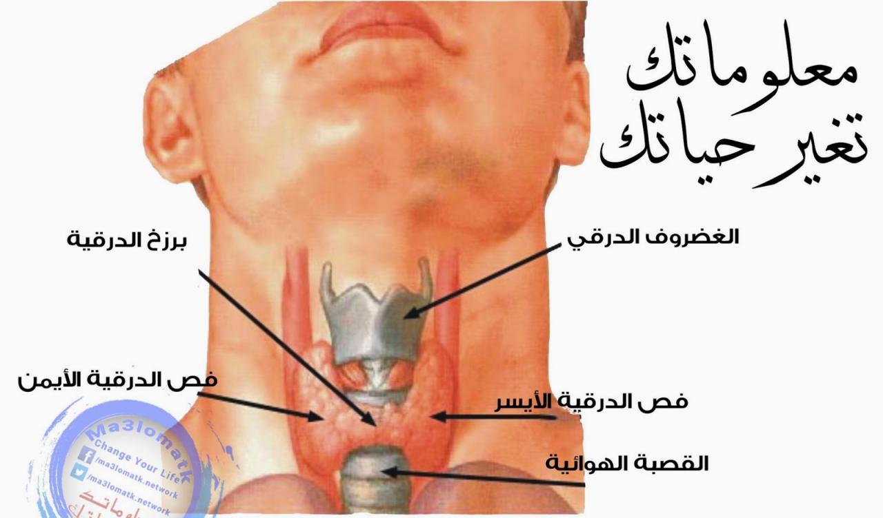 مرض الغدة الدرقية 2155