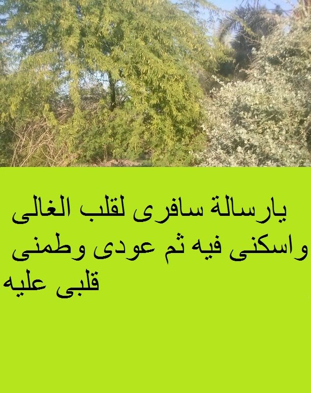 احلى رسائل حب - اجمل كلمات يعشقها المحب 1596 6