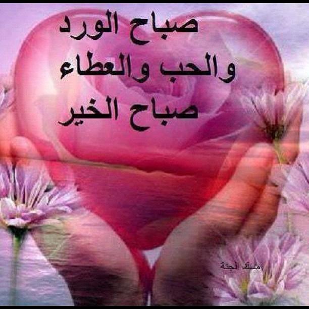 صورصباح الخير جديده - اجمل الصور الخاصه بكلمه صباح الخير 3780