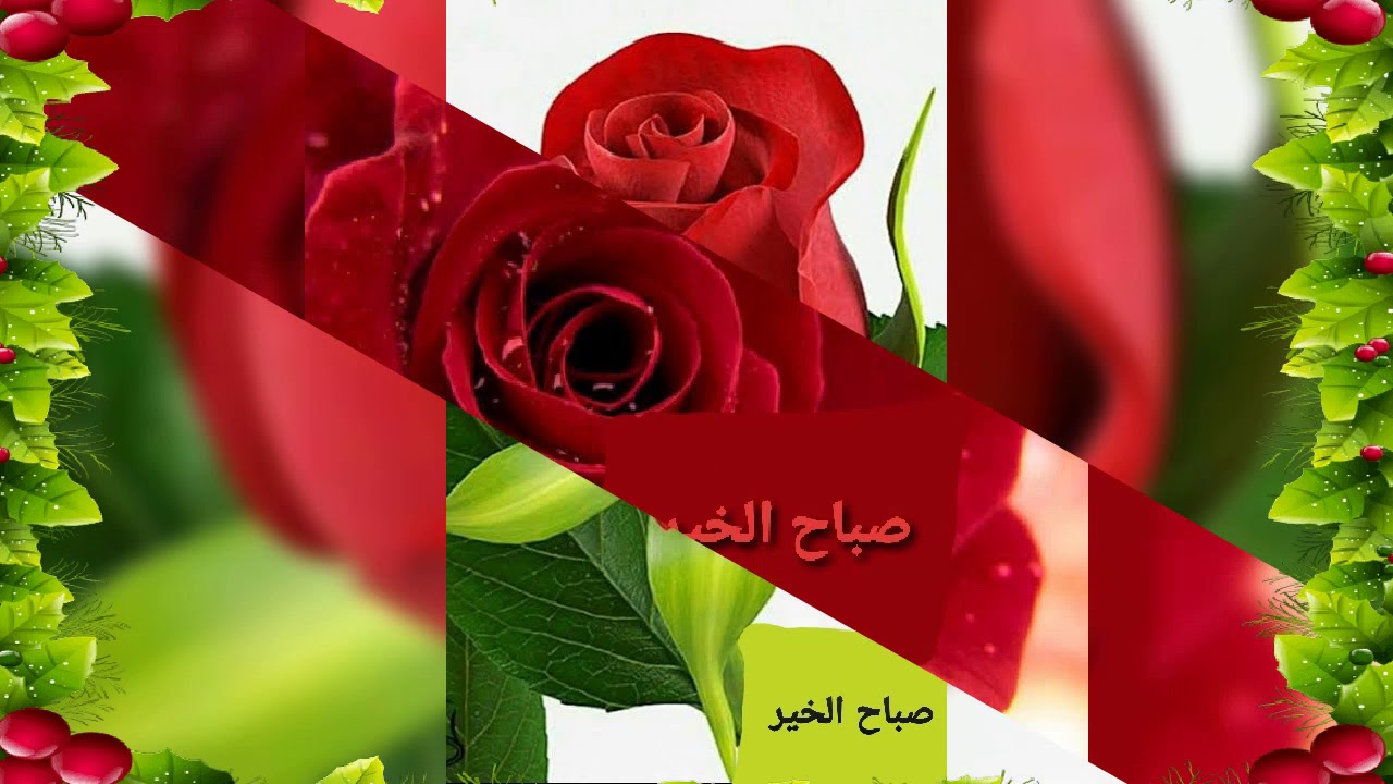 احلى كلام عن المساء 10843 7