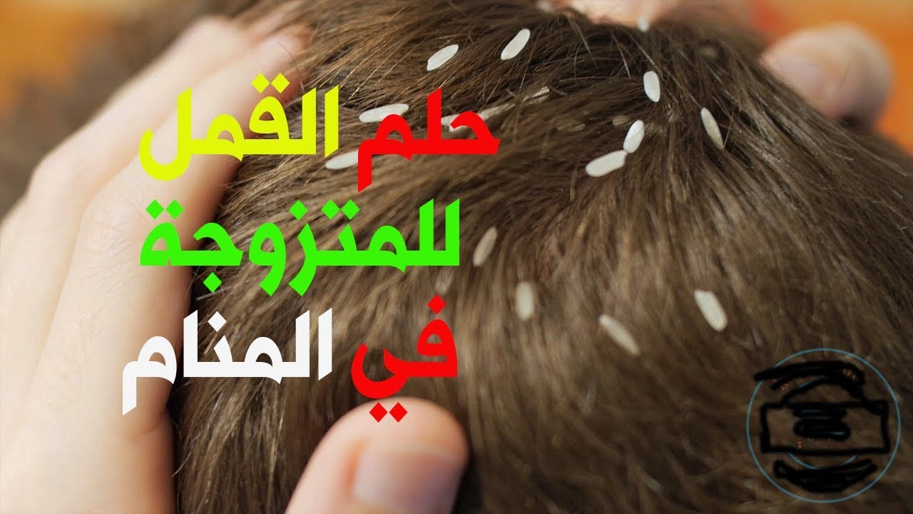 معنى القمل في الحلم