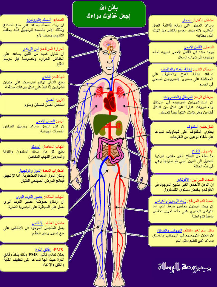 صور علمية - احدث الصور العلميه 3561 5