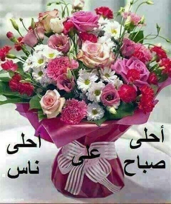 صور صباح الخير - صور صباح مميزه و جميله جدا 2160 9