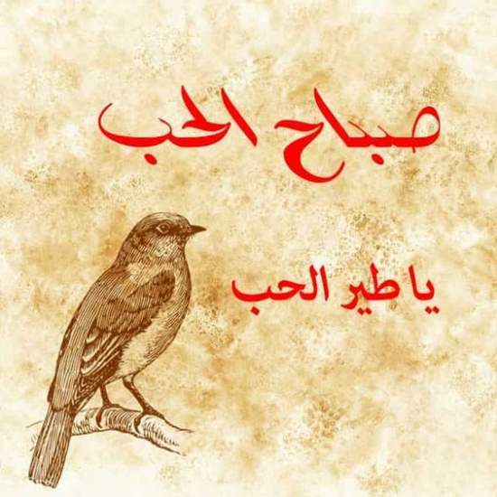 اجمل الصور الصباحيه المكتوب عليها صباح الخير 58 12