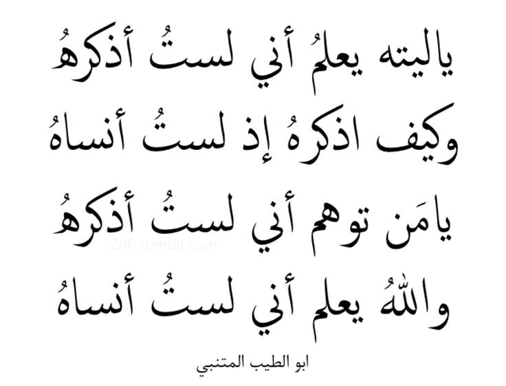 شعر المتنبي - اجمل اشعار للمتنبي 3073 2