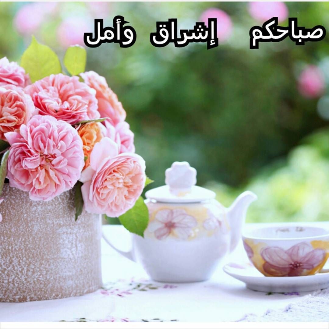 صباح الورد حبيبتي 6067 11