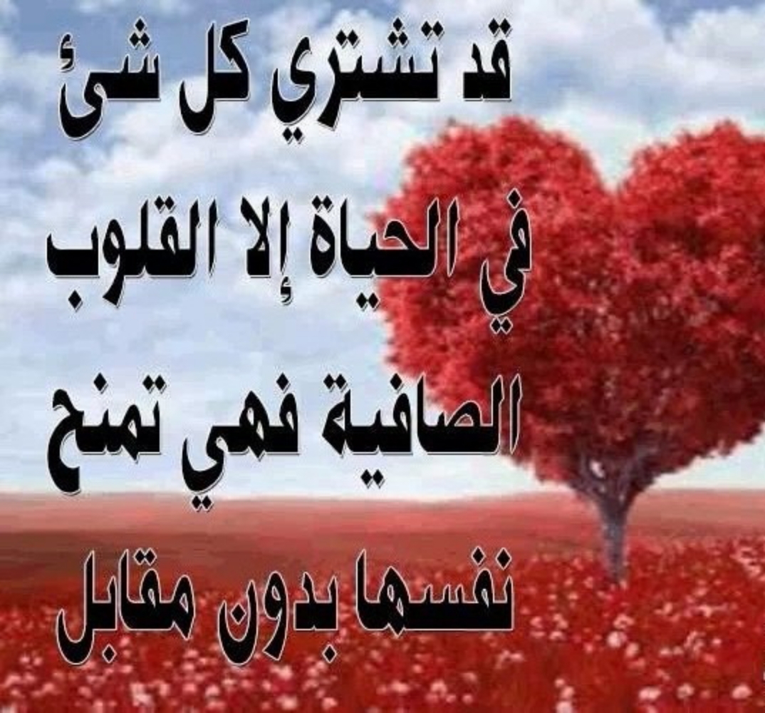 حالات حب قصيره 2641 6