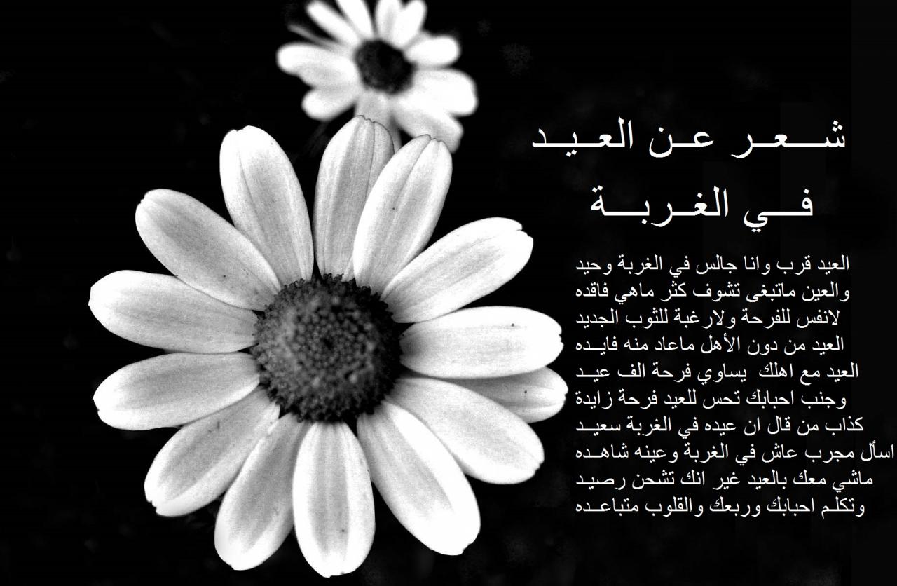 شعر عن الغربة 4299 7