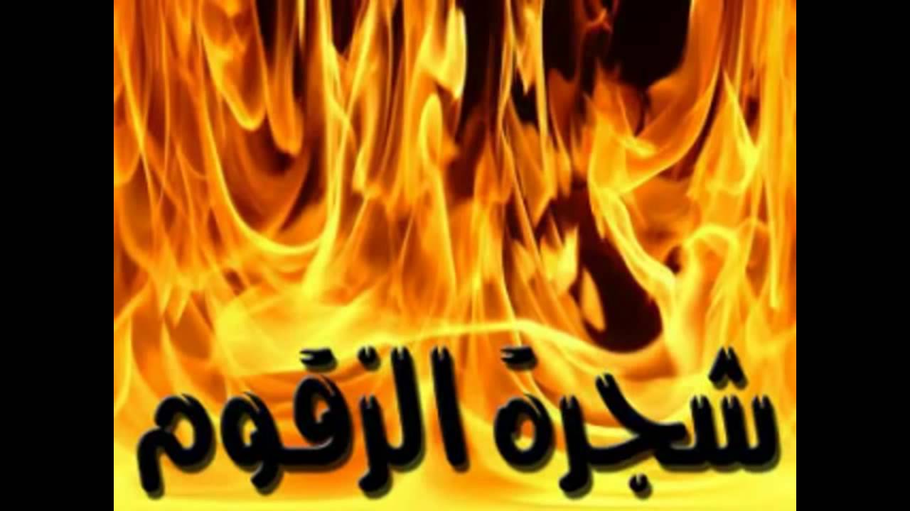 اهوال يوم القيامة-عظمة الخالق سبحانة وتعالى 1739 13