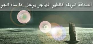 صور عن خيانة الصديق - غدر وخيانه الصديق 2961 4