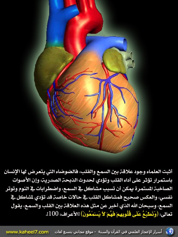 صور علمية - احدث الصور العلميه 3561 2