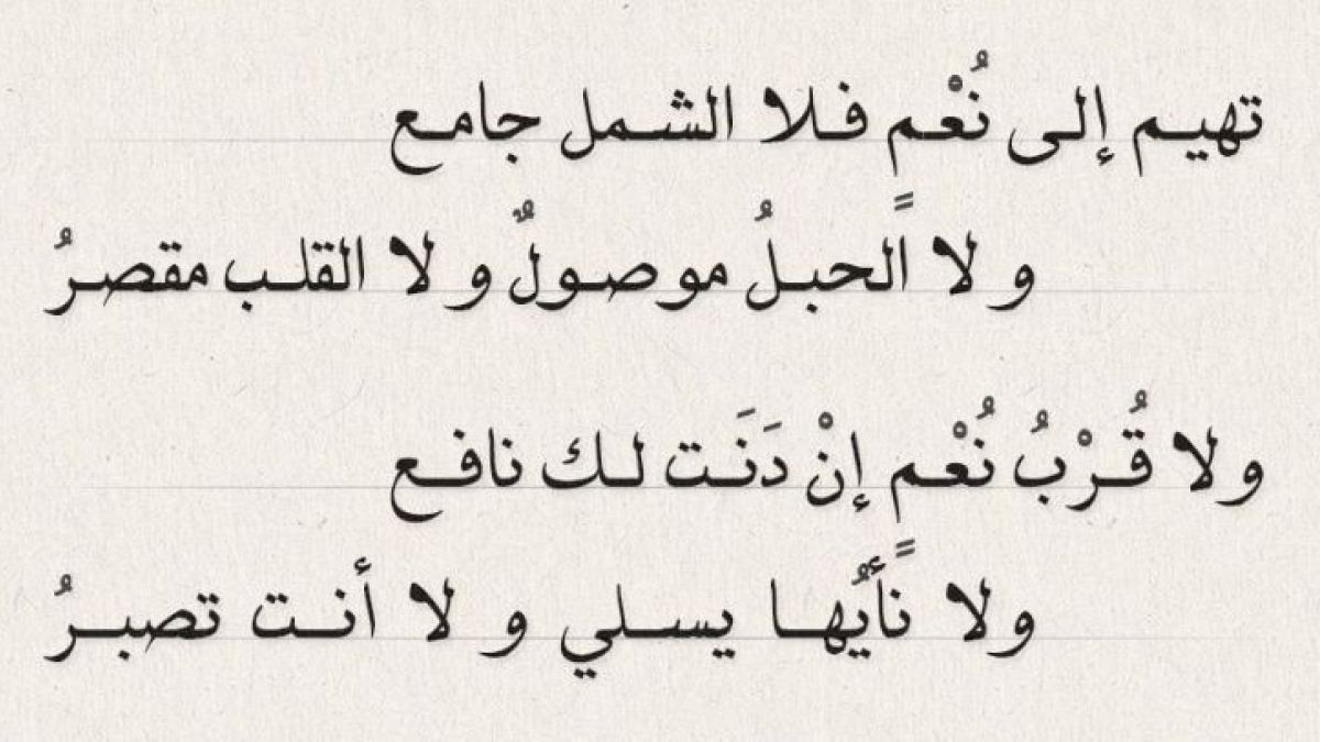 افضل لوسيون لانبات الشعر 11355 7