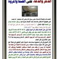 6300 10 دعاء العمرة - ادعية زيارة البيت الحرام مطرانه فيصل
