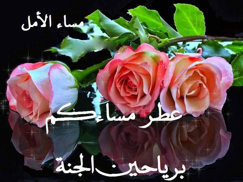 صور مساء الفل , مساء الفل تحيه مبهجه