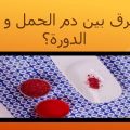 860 2 الفرق بين دم الدورة ودم الحمل - اختلاف اعراض الحمل والدورة شعاع حب