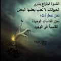 3506 3 شعر حب حزين - صور اشعار عن الحب الحزين اصلان Aslan