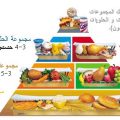 3986 2 نظام غذائي لزيادة الوزن - طرق صحيه لزيادة الوزن بشكل طبيعى ريما