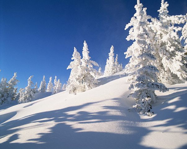 صور فصل الشتاء , احلي الصور لفصل الشتاء احلا كلام